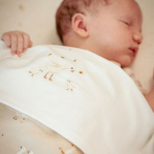 Lenzuola culla linea natural (Lenzuola + angolo)