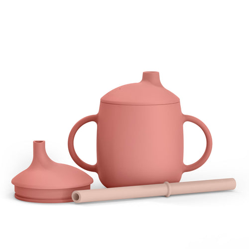 Tazza evolutiva 3 in 1 - rose
