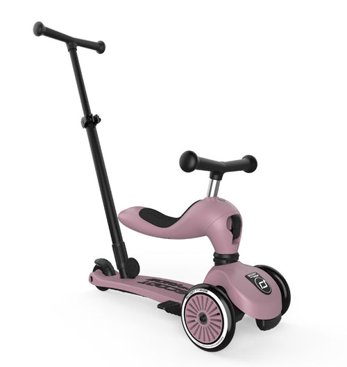 Monopattino evolutivo Push and Go - Wildberry