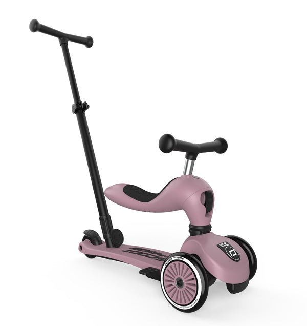 Monopattino evolutivo Push and Go - Wildberry