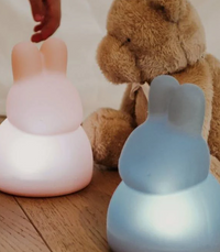 Luce notturna coniglietto