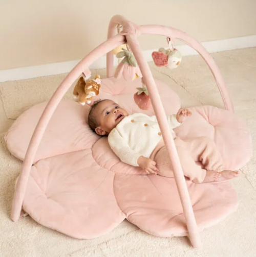 Palestrina morbida per gioco - LD