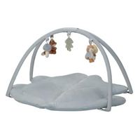 Palestrina Forest con arco e tappeto