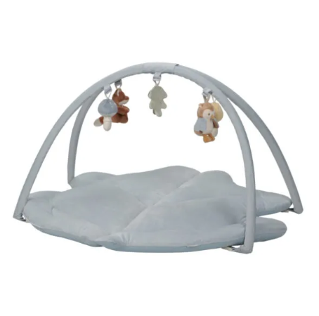 Palestrina Forest con arco e tappeto