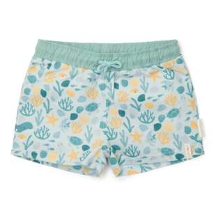 Boxer mare 9/12 mesi - LD